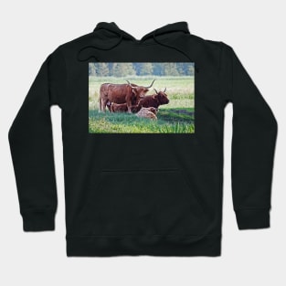 Highland cattle cows family on pasture Hoodie